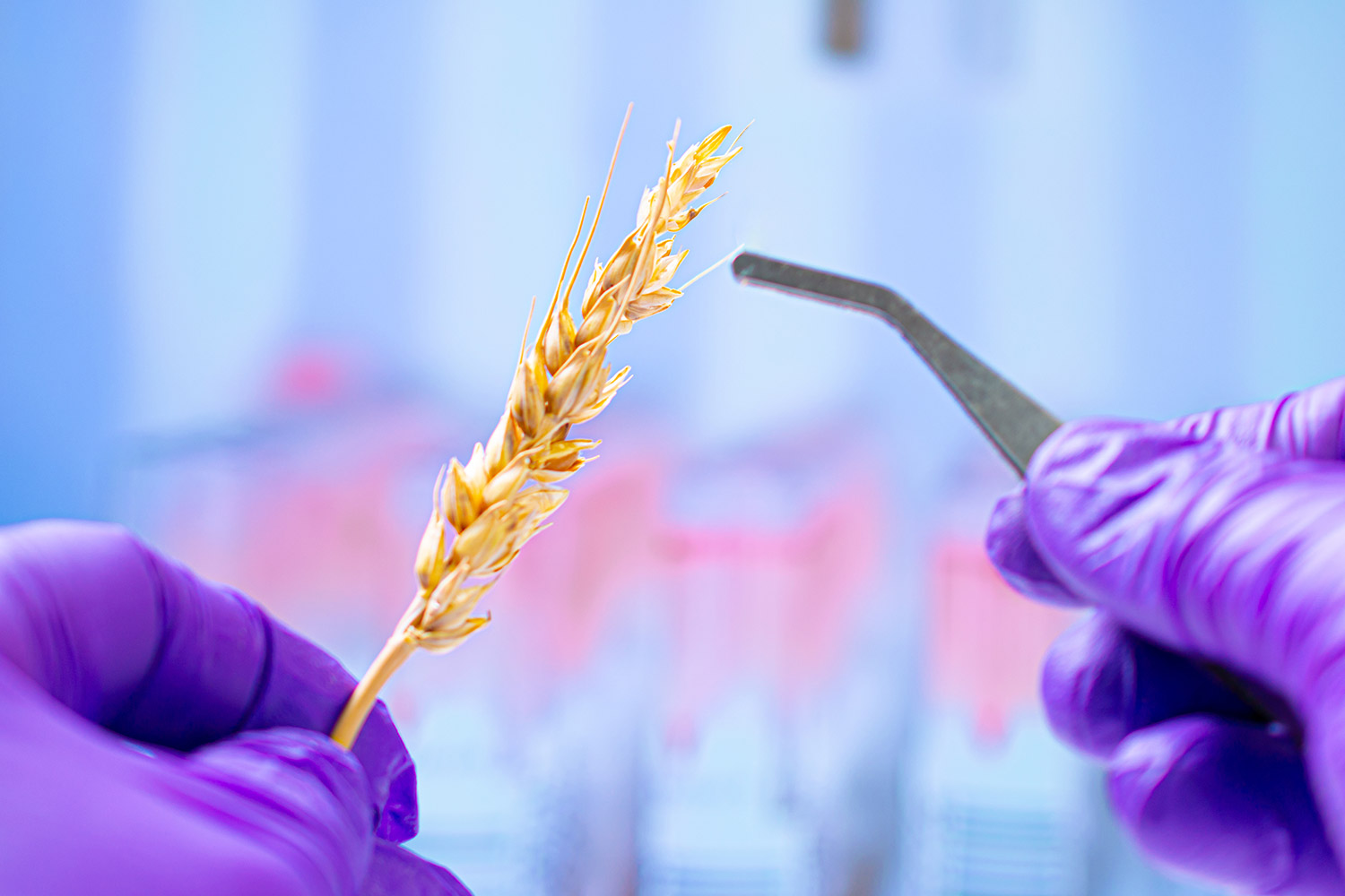 why-western-switzerland-for-food-and-nutrition-innovation-ggba