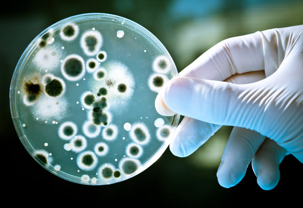 Avec l’impressionnante quatrième place de sa société mère Nanobacterie dans le classement des brevets de nanomédecine établi par Marks and Clerk, AlphaOnco Swiss continue à innover dans les traitements contre le cancer grâce à une harmonieuse collaboration franco-suisse.