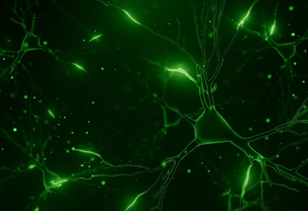 La société genevoise Addex Therapeutics s'est associée à Perceptive Advisors pour lancer la spin-off Neurosterix, un nouvel acteur dans le développement de médicaments axés sur la neurologie.