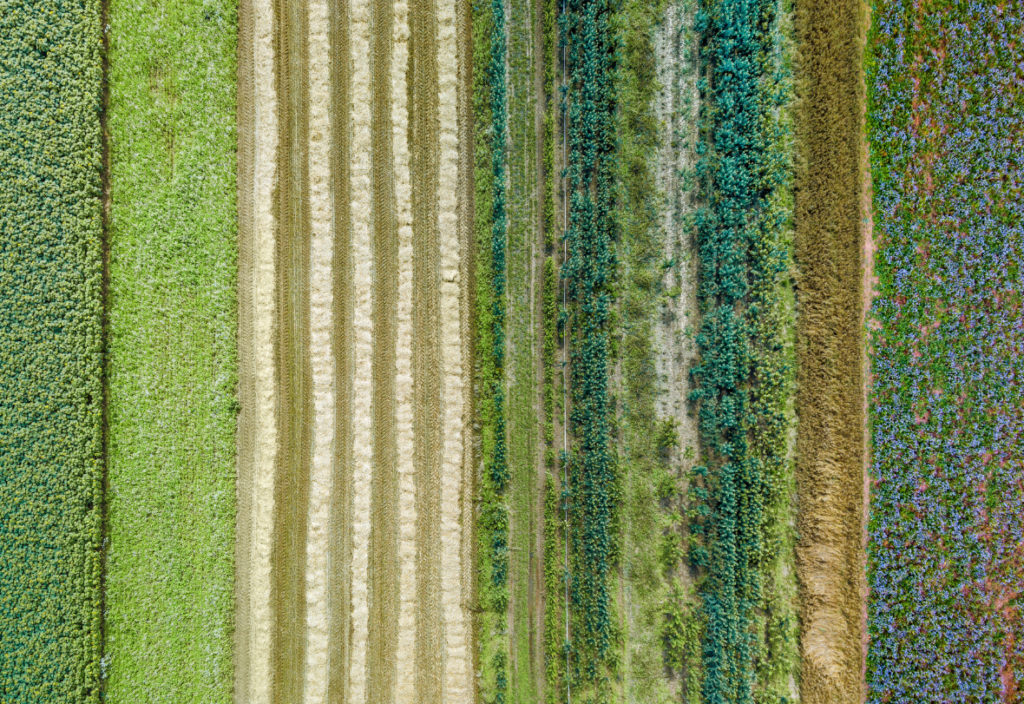 La Suisse occidentale est en train de devenir une plaque tournante de l'innovation alimentaire, grâce à des recherches révolutionnaires, des pratiques durables et un solide écosystème de start-ups et d'entreprises bien établies qui se consacrent à la transformation de l'industrie alimentaire.