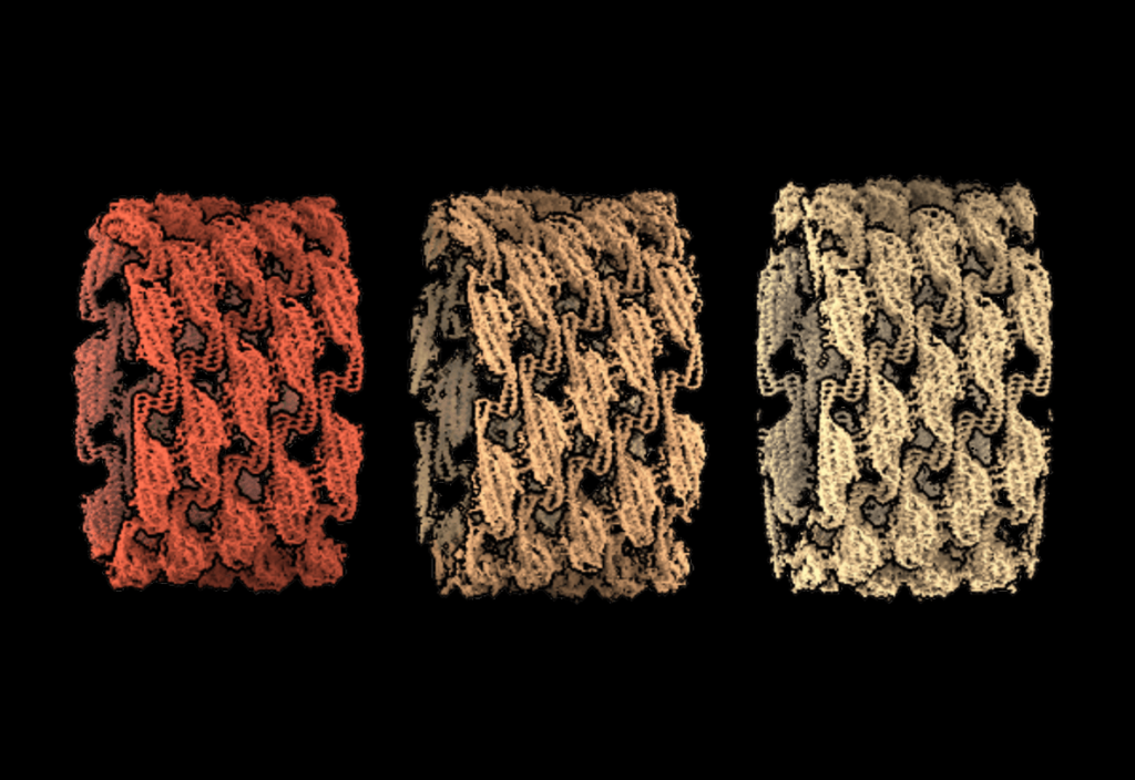 Scientists from the University of Geneva and the University of Fribourg have made significant strides in understanding how yeast cells sense and respond to physical stress on their membranes, shedding light on the critical role of membrane dynamics in cell survival.