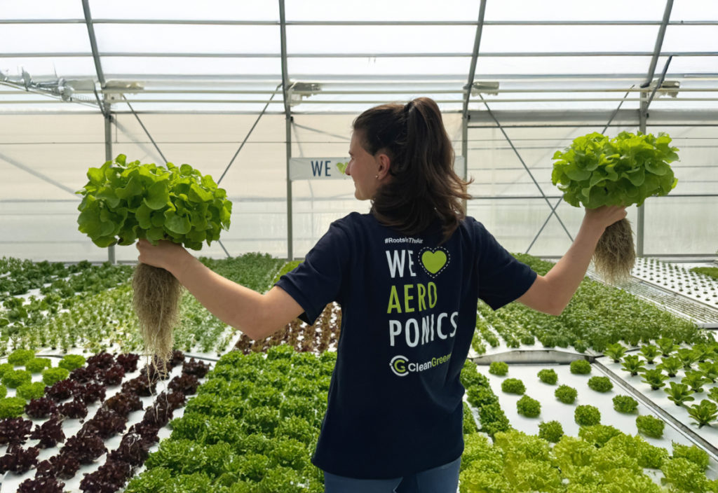 Vaud-based CleanGreens Solutions has announced a major international expansion through a strategic partnership with Kuwait’s GreenLife Company to build the world’s largest aeroponic greenhouse farm.