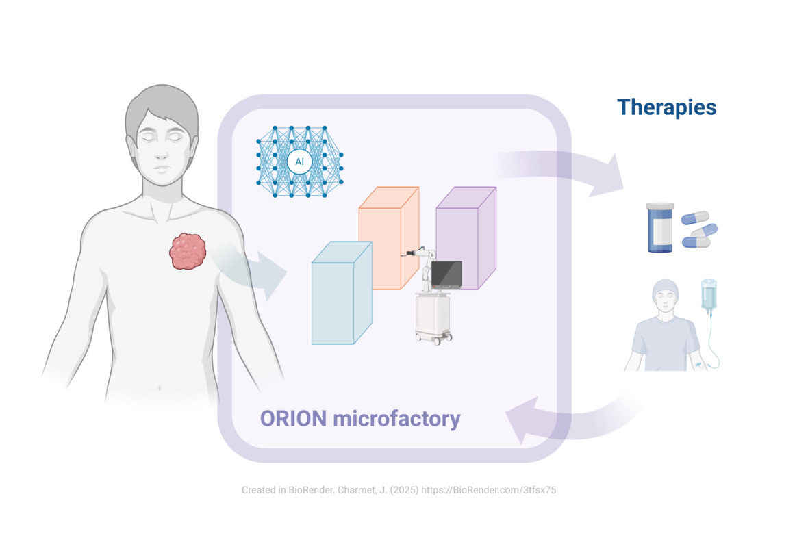 Un consortium de recherche suisse développe une microfonderie alimentée par l’intelligence artificielle, capable de produire des modèles tumoraux personnalisés afin de révolutionner l’oncologie de précision.