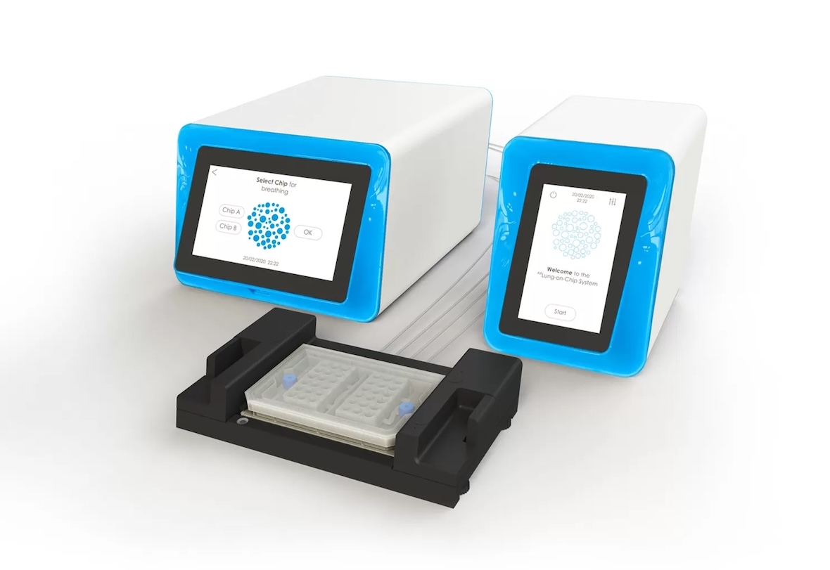 Researchers from the Francis Crick Institute and Bern-based AlveoliX have developed the first human lung-on-chip model built entirely from genetically identical cells, opening new perspectives for personalised respiratory disease research.