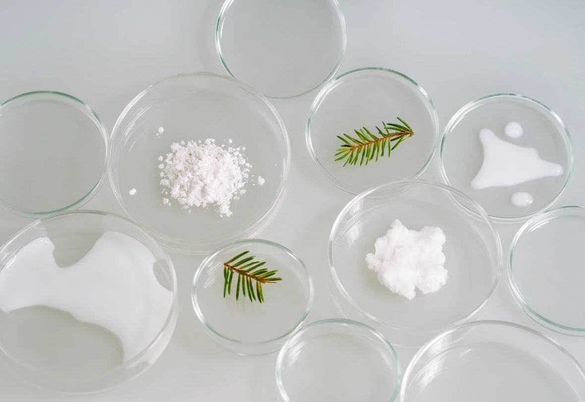 Seprify expands into European cosmetics through Grolman Group partnership for its cellulose-based ingredient SilvaLuma.