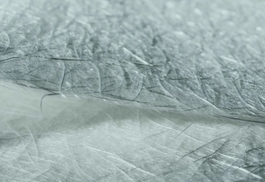 EPFL spin-off Verretex has secured CHF 1.2 million in dilutive and non-dilutive funding to expand its industrial production of recycled glass fiber textiles and accelerate its entry into new markets.