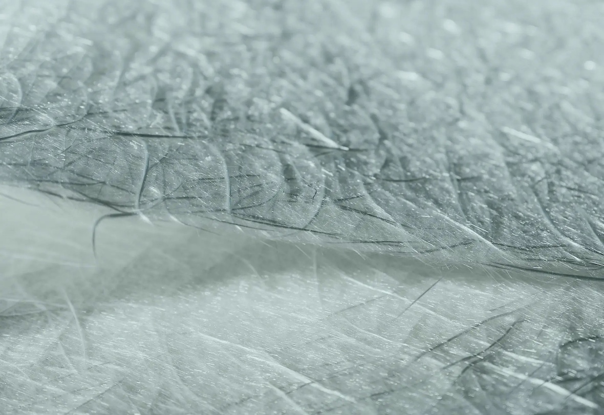 EPFL spin-off Verretex has secured CHF 1.2 million in dilutive and non-dilutive funding to expand its industrial production of recycled glass fiber textiles and accelerate its entry into new markets.