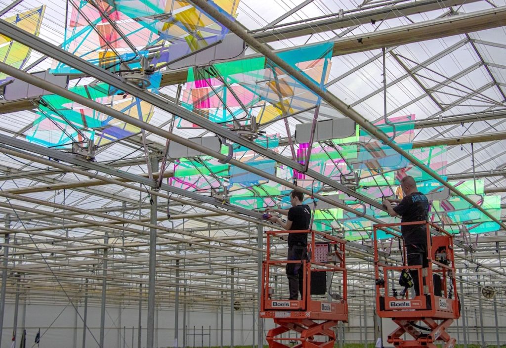 Voltiris équipera une serre de fraises néerlandaise avec ses modules solaires, marquant sa quatrième installation commerciale.