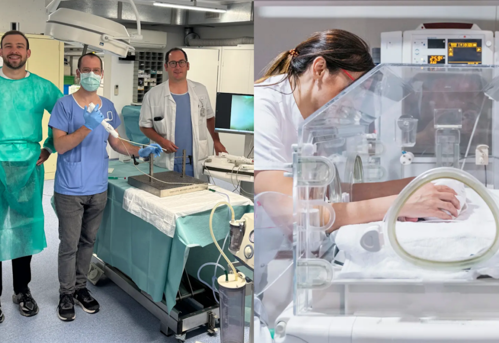 The Foundation for Innovation and Technology has awarded CHF 100,000 Tech Seed loans to Dexterous Endoscopes, for an endoscope that switches from flexible to rigid during a procedure, and to Precisia Care, for its hospital data analytics platform.